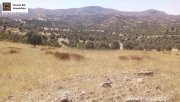 Sivas Kreta, Sivas, bebaubares Grundstück 18.000qm mit Berg und Fernblick Grundstück kaufen